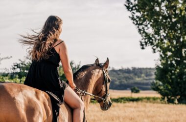 Verscholen in de schilderachtige bossen van Ommen in Nederland, biedt Ommerland Holiday Park gezinnen een unieke ontsnapping in de natuur. Deze 5-sterren vakantiebestemming combineert outdooravontuur, comfortabele accommodatie en een gastvrije sfeer en is ontworpen om onvergetelijke momenten te creëren voor gasten van alle leeftijden.