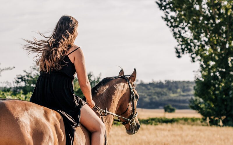 Verscholen in de schilderachtige bossen van Ommen in Nederland, biedt Ommerland Holiday Park gezinnen een unieke ontsnapping in de natuur. Deze 5-sterren vakantiebestemming combineert outdooravontuur, comfortabele accommodatie en een gastvrije sfeer en is ontworpen om onvergetelijke momenten te creëren voor gasten van alle leeftijden.